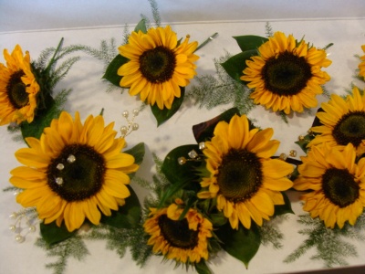 Sunflower buttonholes and corsages